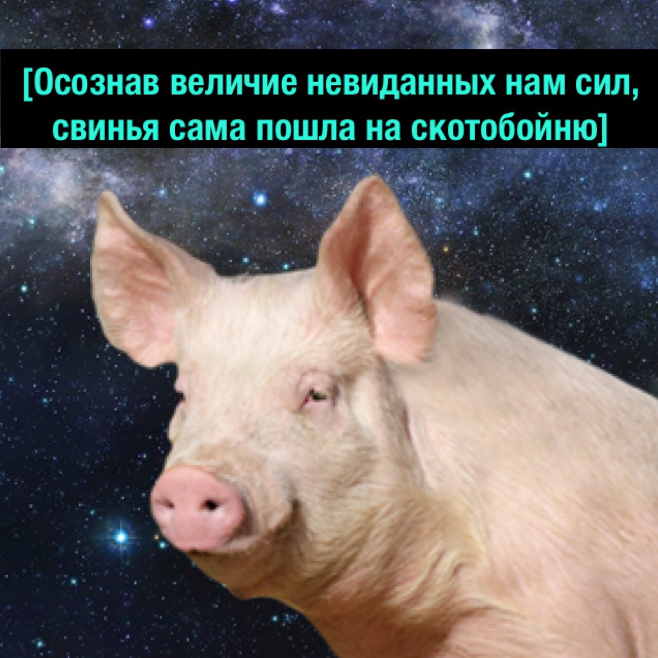 1280x1280
