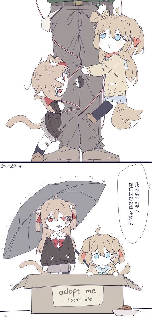 603x1280