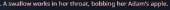 424x26