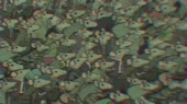 640x360