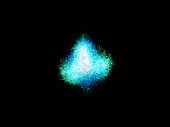320x240
