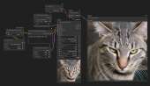 2875x1670