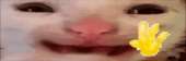 384x128