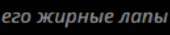 295x62