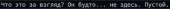 810x43