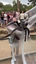 360x640