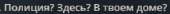 293x25