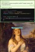 552x815