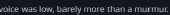 336x31