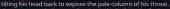 479x27