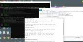 1600x821