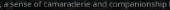 384x24