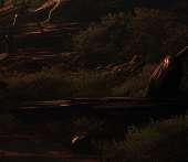334x290