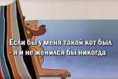 1200x808