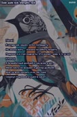 600x900