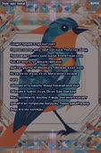 600x900