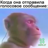 360x360