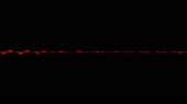 1280x720