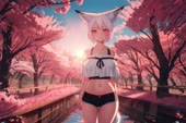 1536x1024
