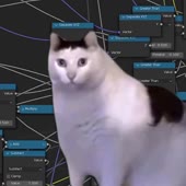 720x720