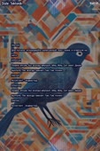 600x900