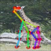 369x369