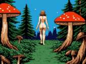 640x480