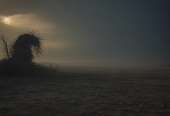 1216x832