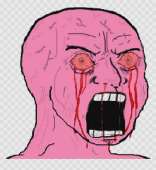 295x320