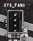 254x314
