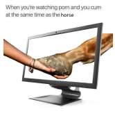 500x511