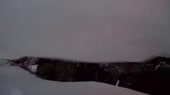 640x360
