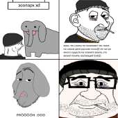 800x800
