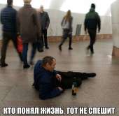 510x499