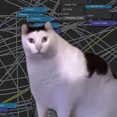 720x720