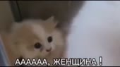 1280x720