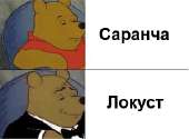 300x221