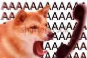 480x322