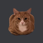 360x360