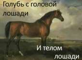 828x607