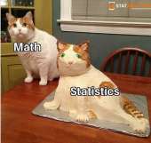 500x475