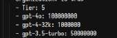 304x100
