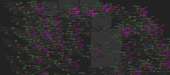 1803x803