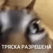 320x320
