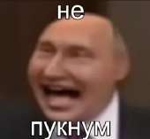 346x320