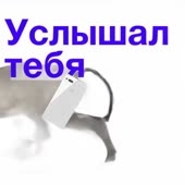 832x832