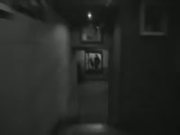 320x240