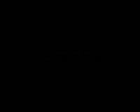 450x360