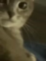 384x512
