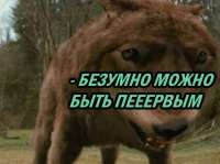 604x452